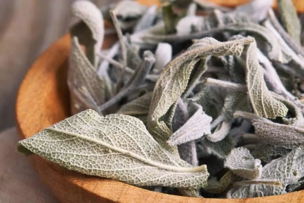 Dried sage leaves in a wooden bowl.