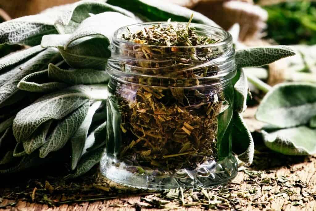 Dried sage leaves in a glass jar with fresh leaves sitting behind it.