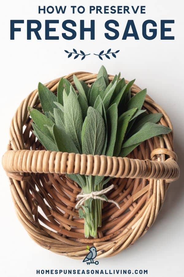 A bunch of sage stems in a wicker basket with text overlay stating: How to Preserve Fresh Sage.