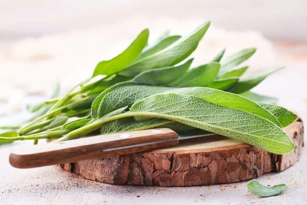 Sage leaves sitting on a round wooden board with a knife.