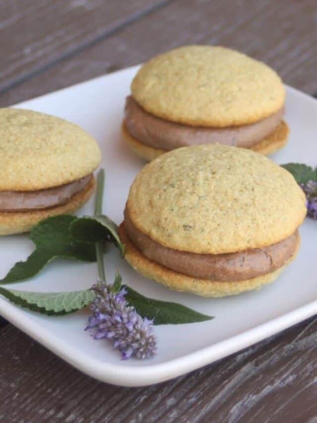 Spring Cookie Recipes Story