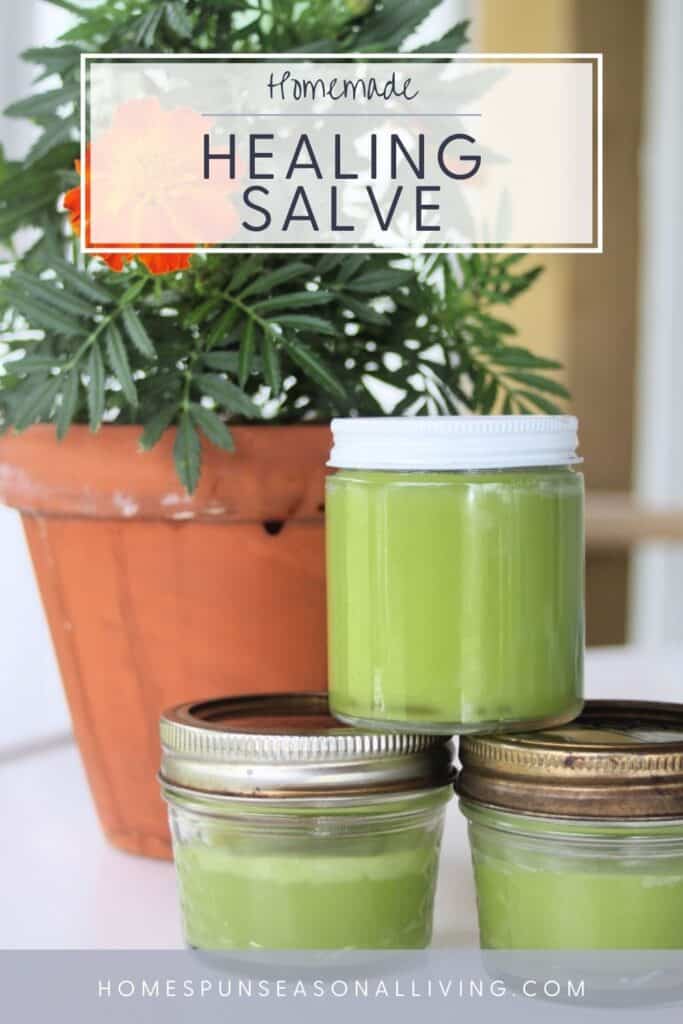 3 glass jars full of green salve stacked in front of a potted marigold plant with text overlay reading: Homemade Healing Salve.
