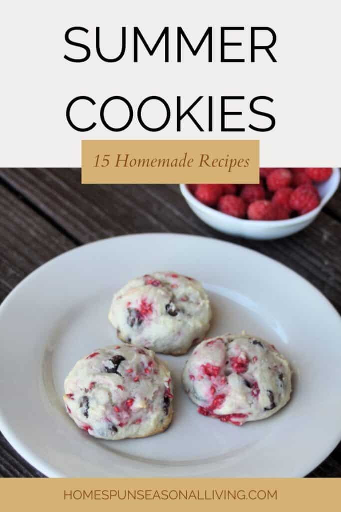 Raspberry chocolate chip cookies on a plate with a bowl of fresh raspberries in the background. Text overlay reads: Summer Cookie Recipes 15+ Homemade Recipes