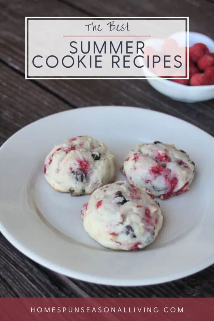 Raspberry chocolate chip cookies on a plate with a bowl of fresh raspberries in the background. Text overlay reads: The Best Summer Cookie Recipes.