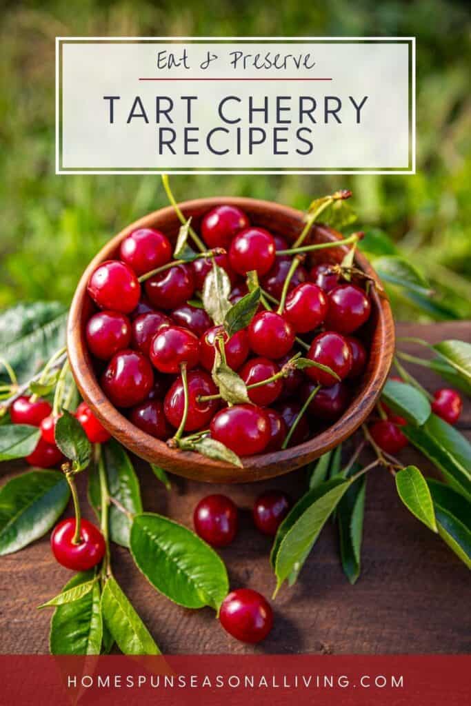 A wooden bowl full of bright red cherries surrounded by leaves and more cherries. Text overlay reads: Eat & Preserve Tart Cherry Recipes