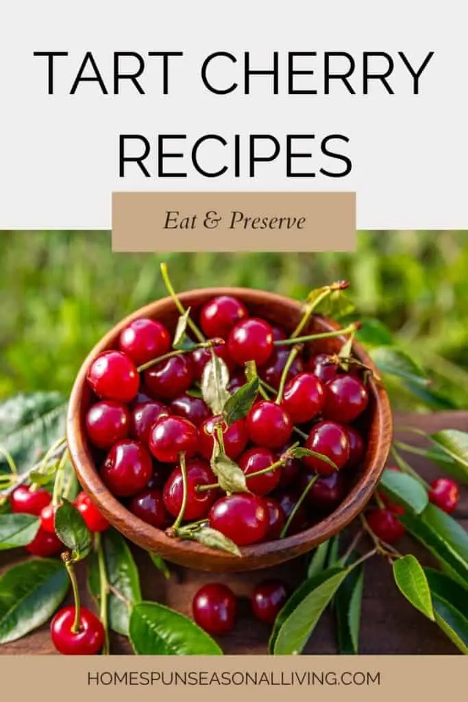 A wooden bowl full of bright red cherries surrounded by leaves and more cherries. Text overlay reads: Eat & Preserve Tart Cherry Recipes