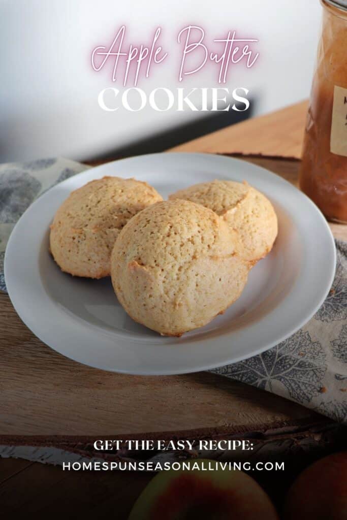 3 cookies staggered on a plate with text overlay that reads: Apple Butter Cookies.