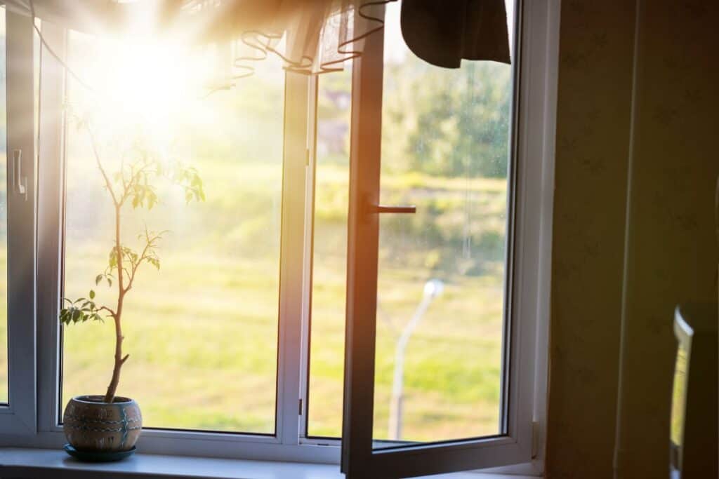 An open window looking outside to a yard, a potted plant sits on the sill.