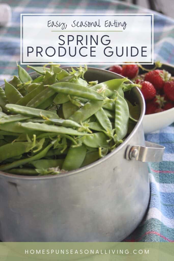 A metal bucket full of fresh snow peas with a bowl of strawberries in the background sit on a table. Text overlay reads : Easy, seasonal eating: spring produce guide.