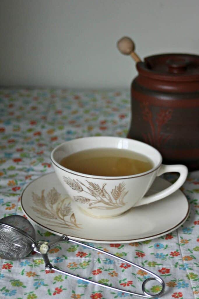 A cup of tea on a saucer with a jar of honey in the background, a tea ball in the foreground.