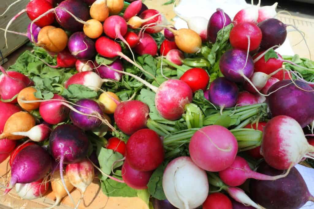 A countertop full of fresh radishes in a variety of colors and shapes.