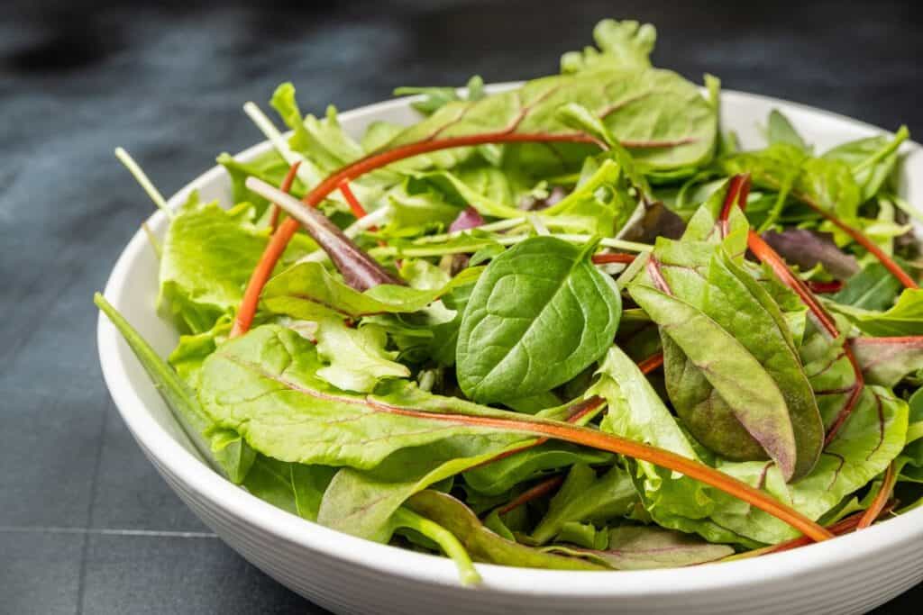 A white wide bowl full of fresh salad greens.