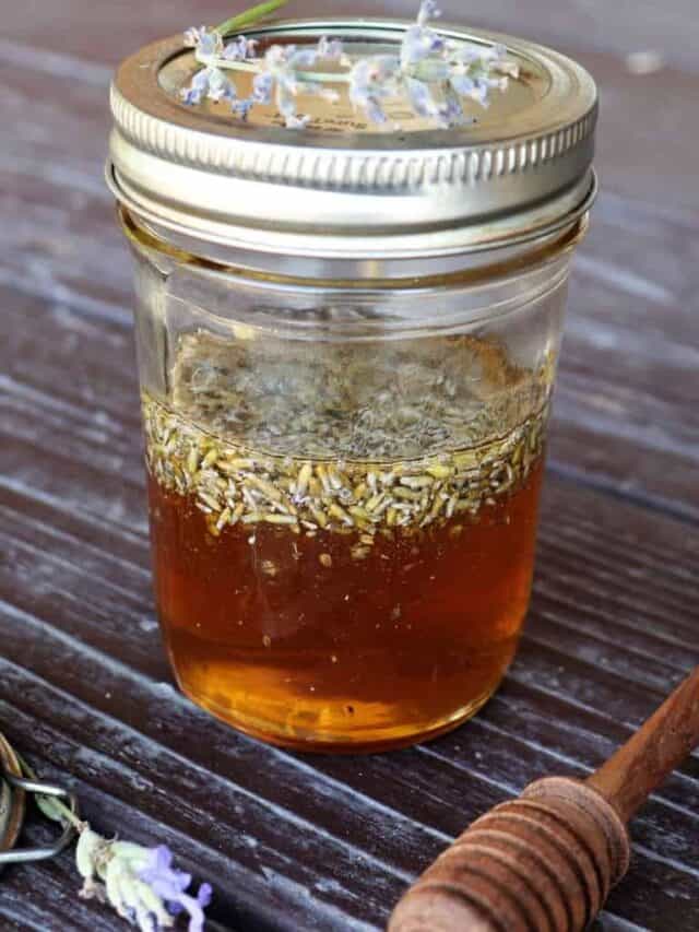 The Easiest Lavender Honey Recipe Story Homespun Seasonal Living
