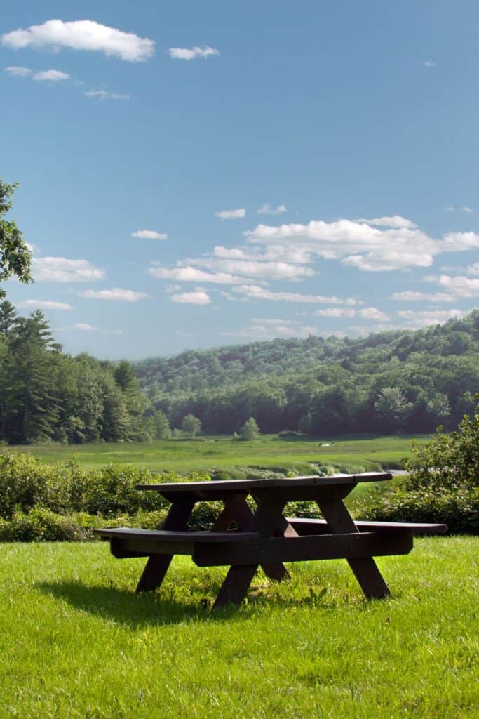 A wooden picnic table sitting in the grass with mountains in the background.