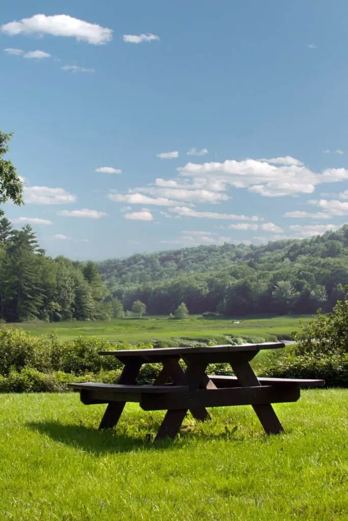 A wooden picnic table sitting in the grass with mountains in the background.