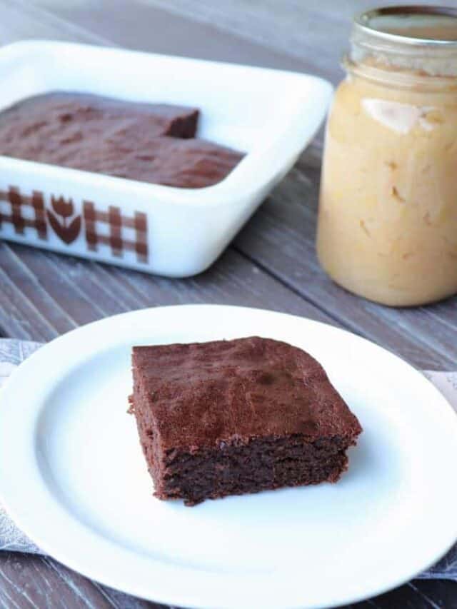 Easy and Fudgy Applesauce Brownie Recipe Story - Homespun Seasonal Living