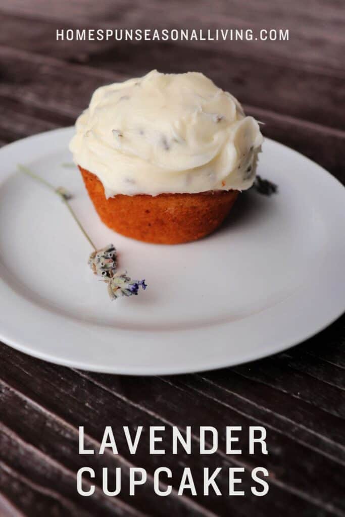 A frosted cupcake sits on a plate with a dried stem of lavender. Text overlay reads: Lavender cupcakes.