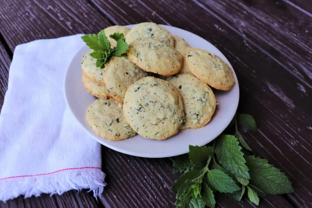 A plate full of lemon balm cookies sits on table surrounded by stems of fresh lemon balm and a napkin.