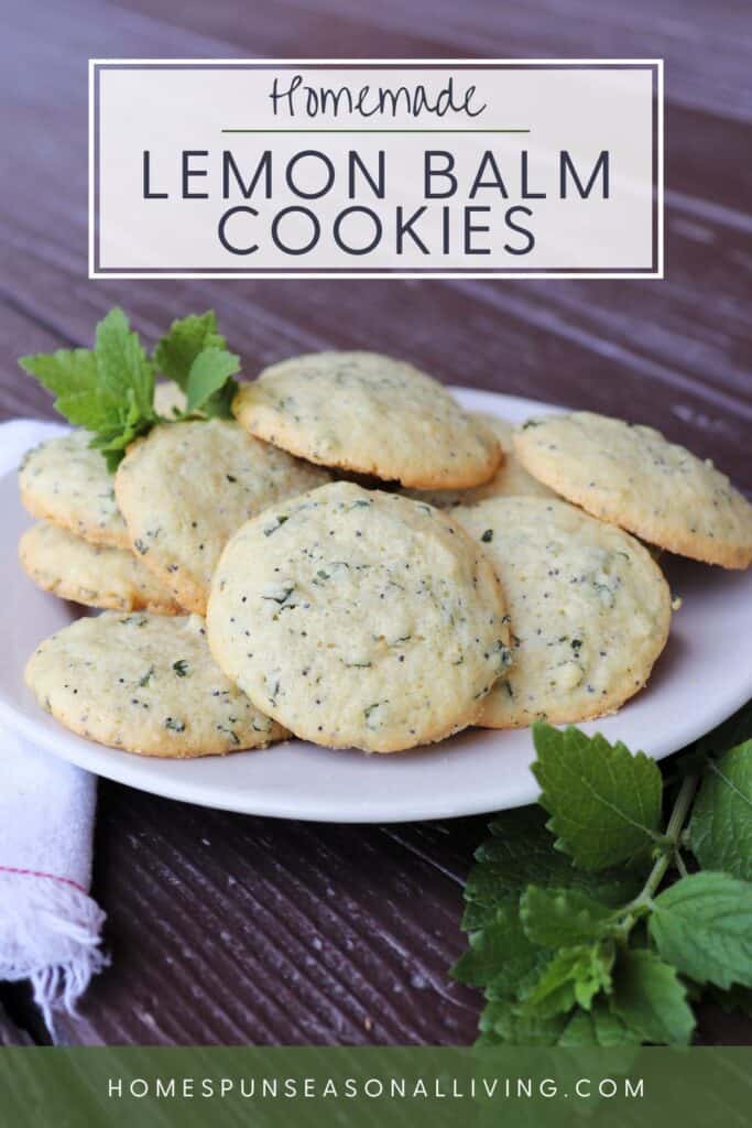 A plate full of lemon balm cookies sits on table surrounded by stems of fresh lemon balm and a napkin. Text overlay reads homemade lemon balm cookies.