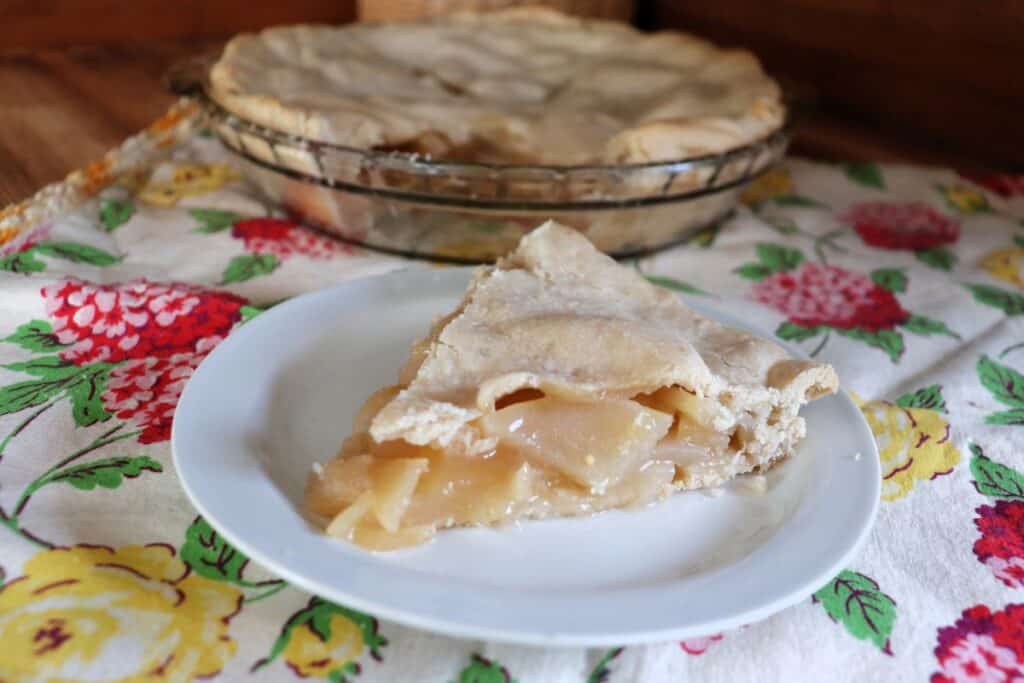 A slice of pie sits on a plate with the remaining dish of pie in the background.