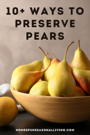 10+ Ways to Preserve the Pear Harvest - Homespun Seasonal Living