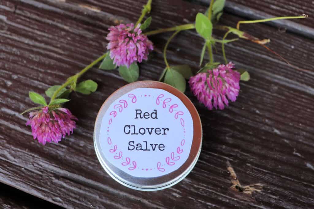 A metal tin as seen from above is surrounded by red clover blossoms. The tin has a white label with black lettering that reads: Red Clover Salve.