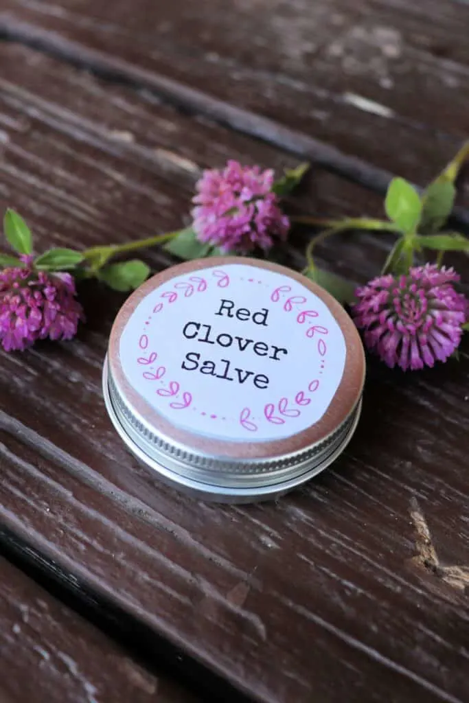 A metal tin as seen from above is surrounded by red clover blossoms. The tin has a white label with black lettering that reads: Red Clover Salve