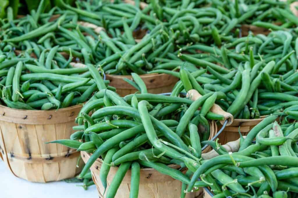 Baskets full of fresh green beans sitting on a table. 
