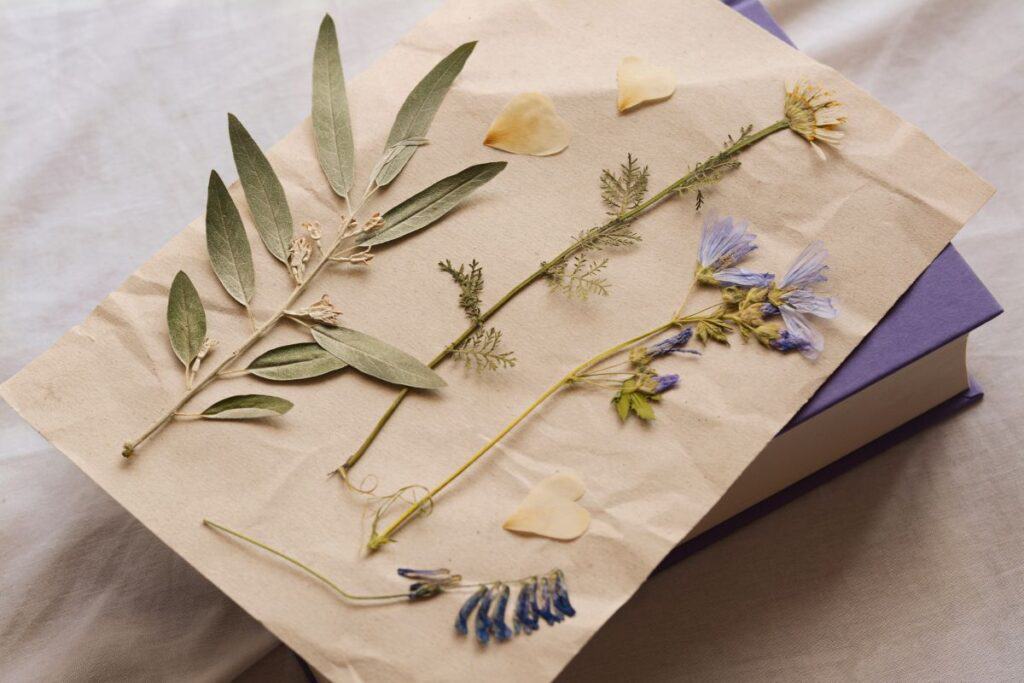 A piece of paper with pressed leaves and flowers sits on top of a book. 