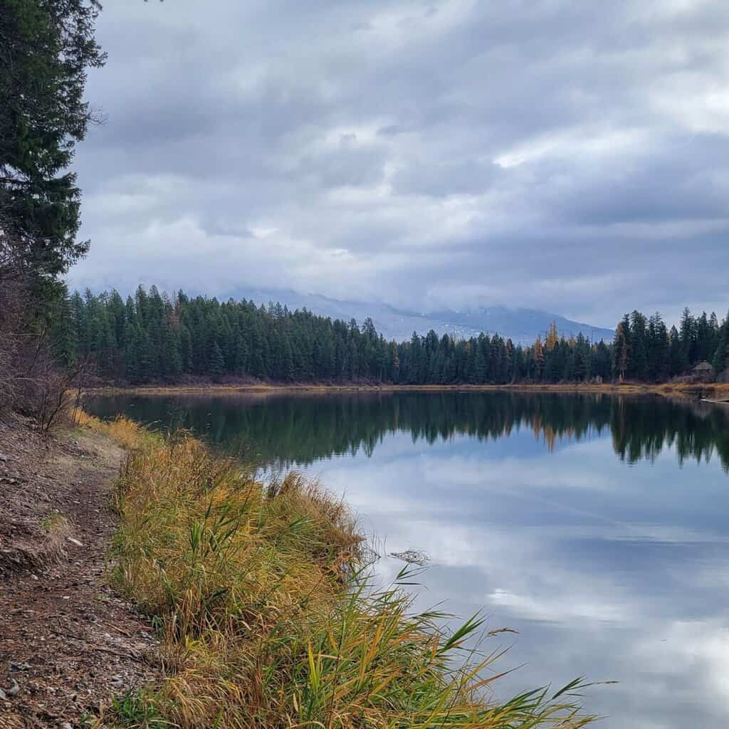 A lake surrounded by trees in the autumn. A grey cloudy sky.