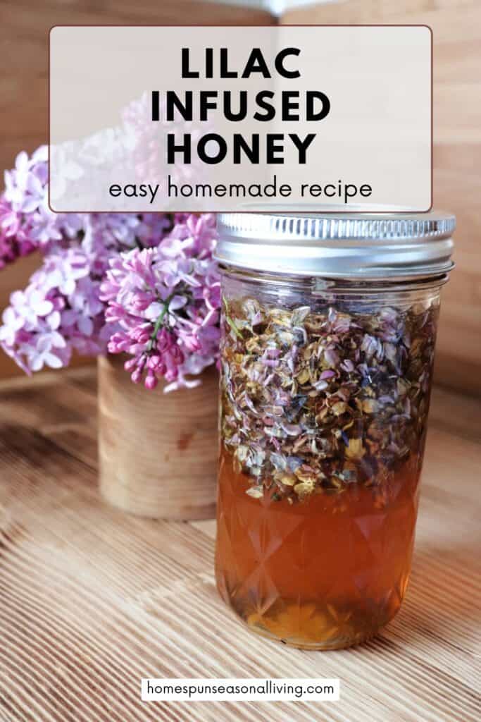 A glass canning jar full of honey and lilac blossoms sits on a table. Behind it is a wooden vase full of fresh lilac blooms. Text overlay reads: lilac infused honey - easy homemade recipe.