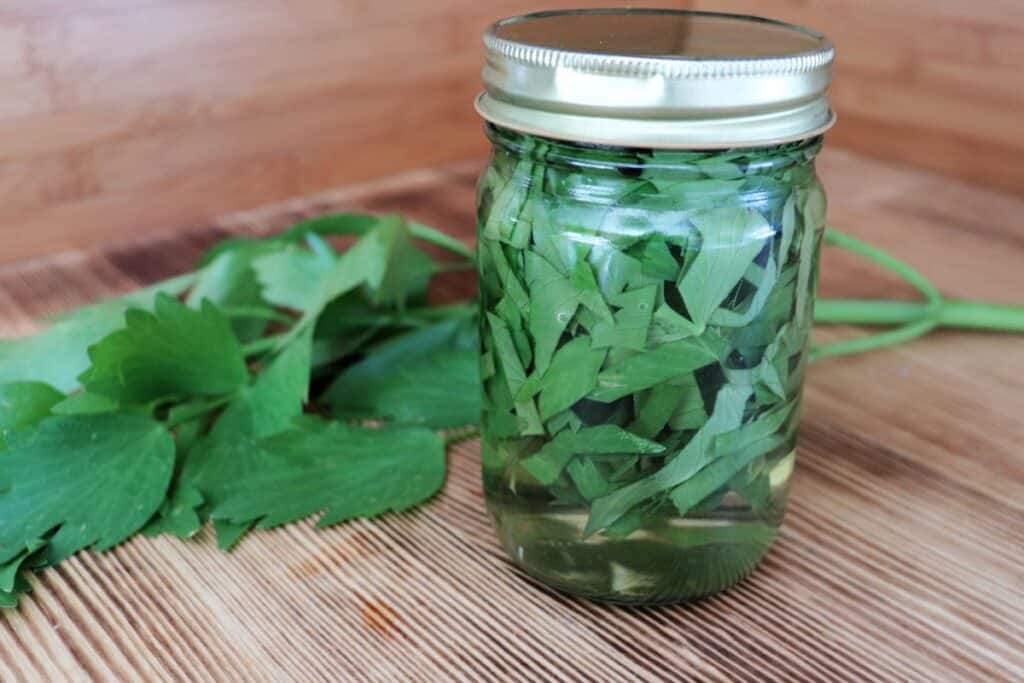 A glass jar full of vinegar and chopped lovage leaves sits on a table. Behind the jar is a stalk of fresh lovage. 