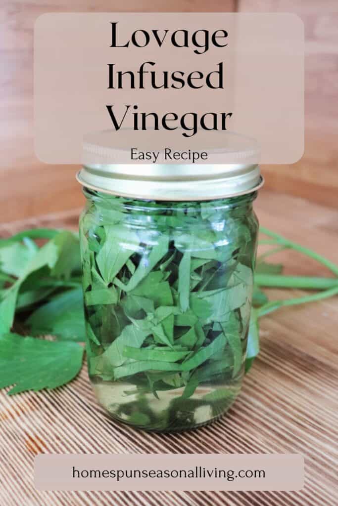 A glass jar full of vinegar and chopped lovage leaves sits on a table. Behind the jar is a stalk of fresh lovage. Text overlay reads: Lovage Infused Vinegar - easy recipe.