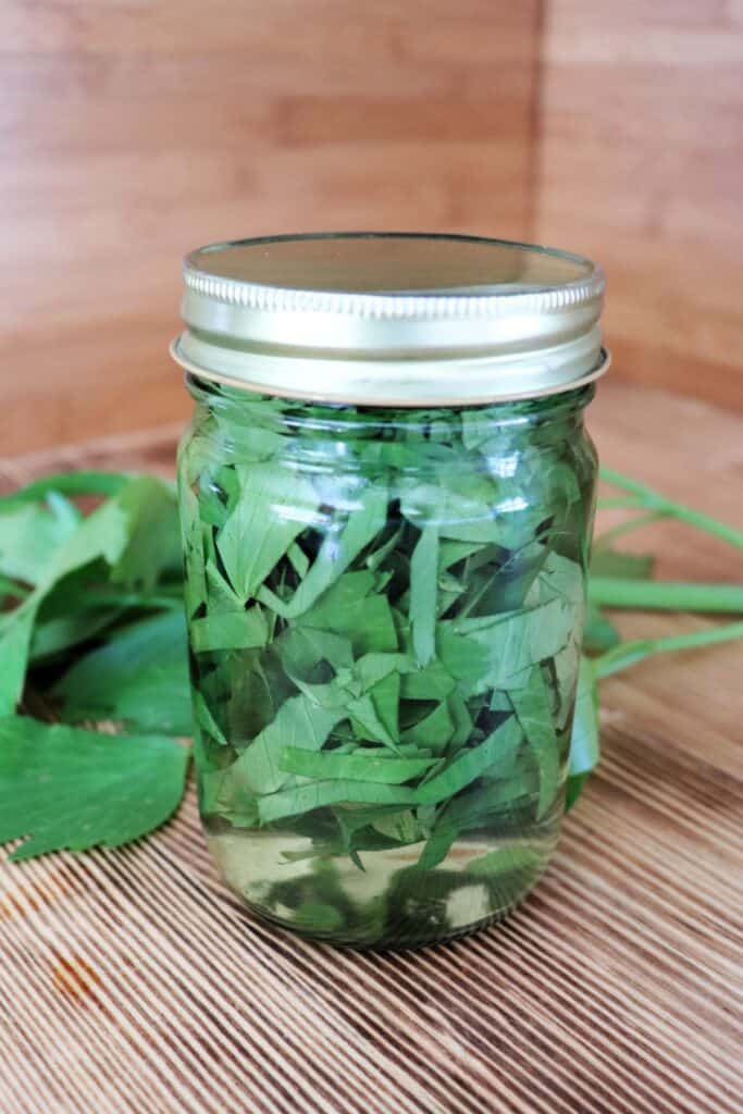 A glass jar full of vinegar and chopped lovage leaves sits on a table. Behind the jar is a stalk of fresh lovage. 
