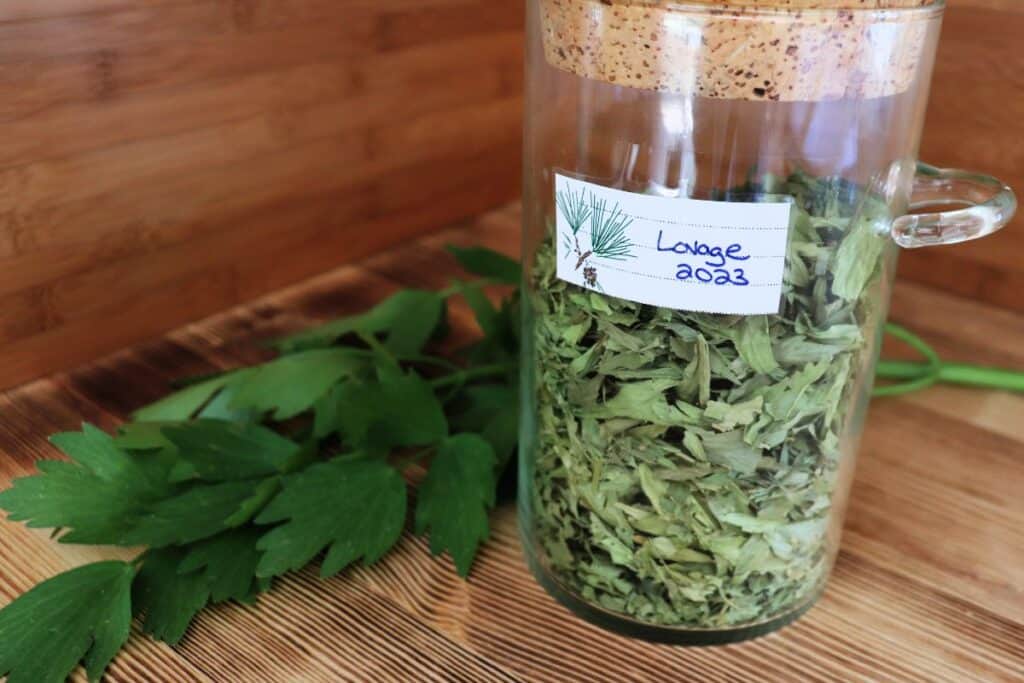 A jar full of dried lovage leaves sits on a table. Behind it is a stem of fresh lovage. 
