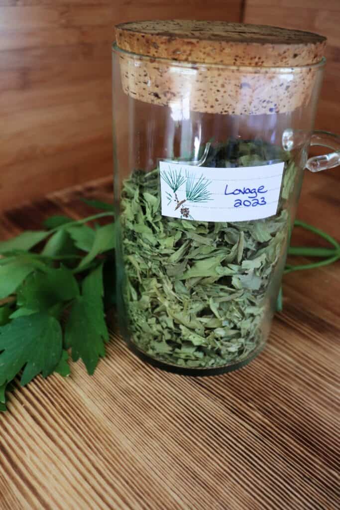 A jar full of dried lovage leaves sits on a table. Behind it is a stem of fresh lovage. 