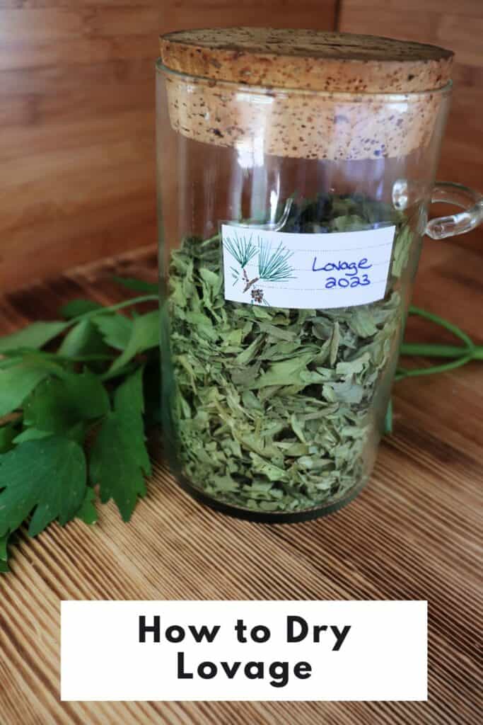 A jar full of dried lovage leaves sits on a table. Behind it is a stem of fresh lovage. Text overlay reads: How to Dry Lovage.