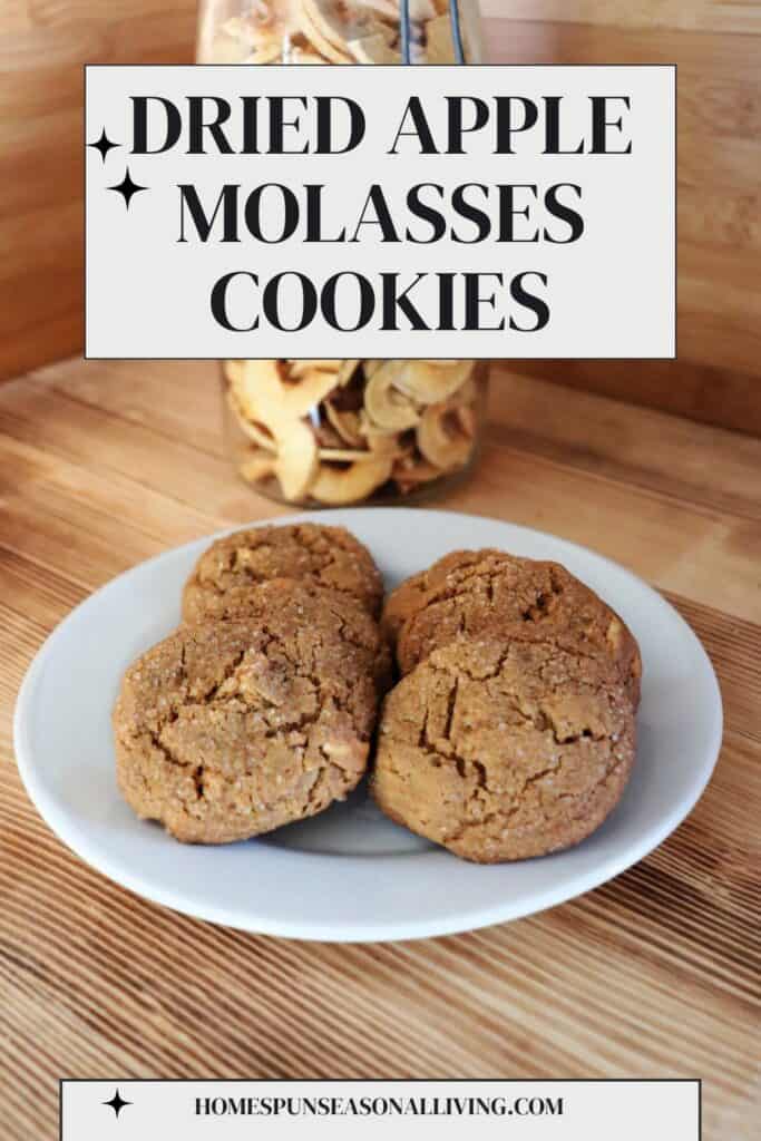 Dried Apple Molasses Cookies