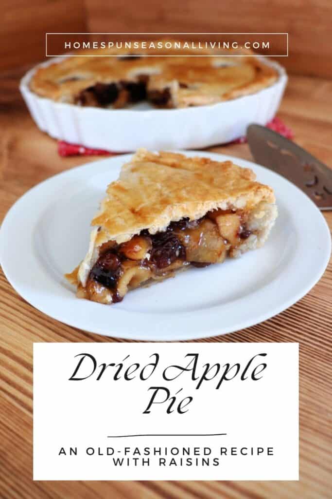 A slice of pie with a dried apple and raisin filling sits on a plate. Behind the plate is the remaining pie and a pie server. Text overlay box reads: Dried Apple Pie: An old-fashioned recipe with raisins. 